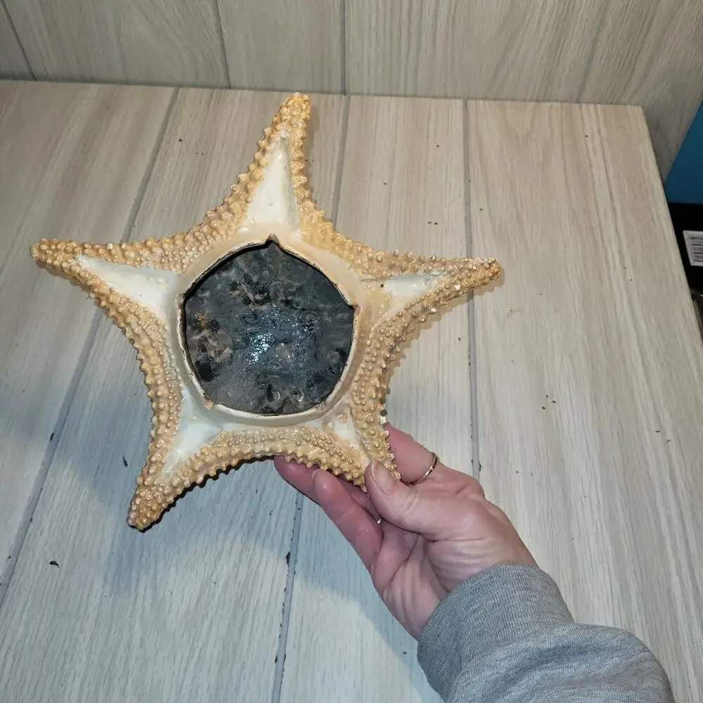Vintage 70s Starfish Ashtray Beachy Catch All Dish Nautical Ocean Home Decor